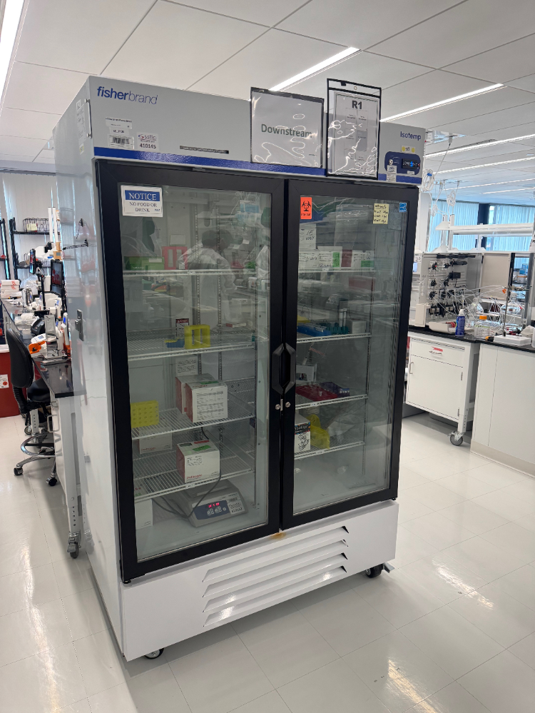 Image of Fisherbrand Isotemp Double Door Refrigerator